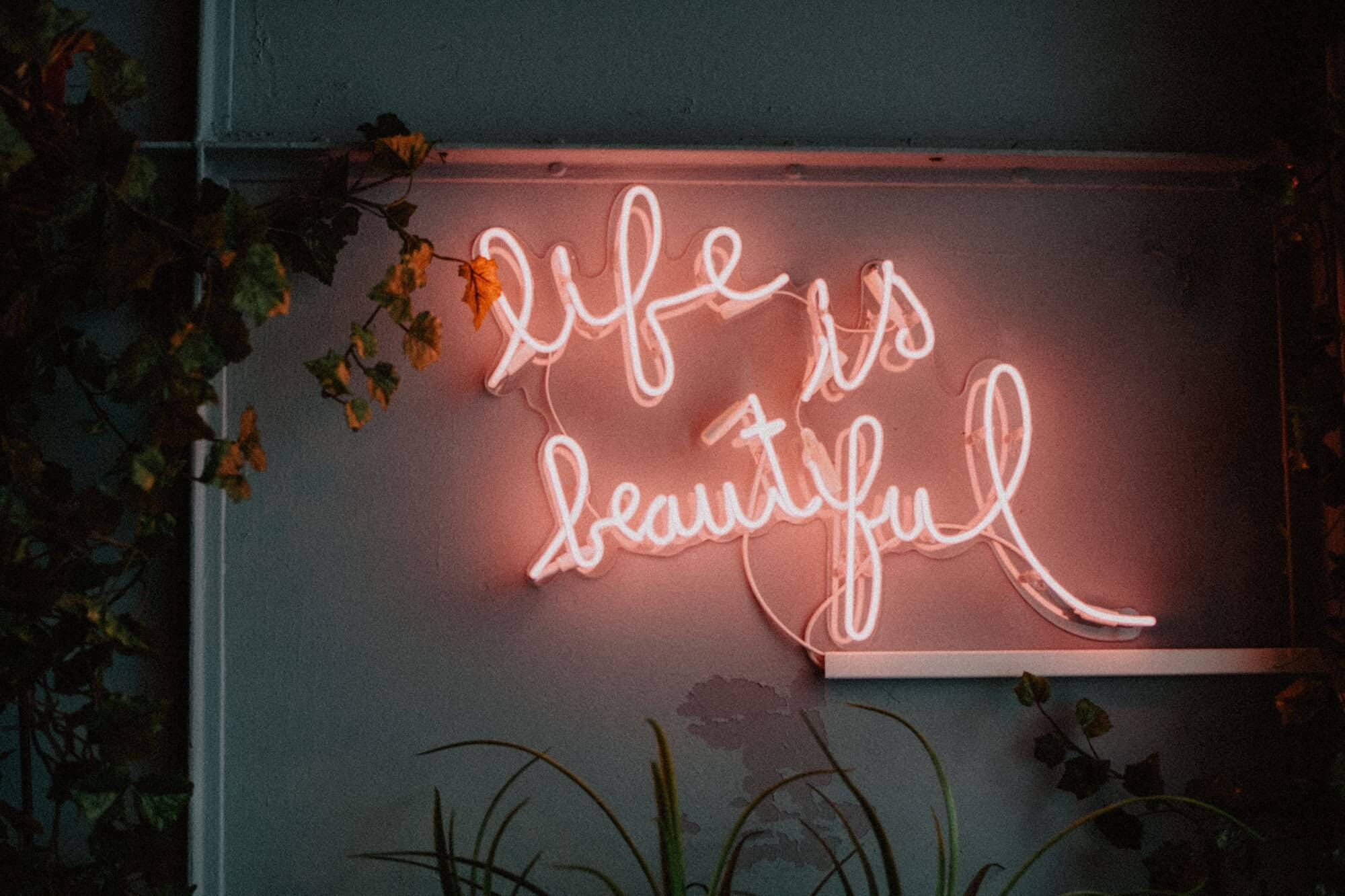 Rose Gold Tumblr Led Quote Wallpaper