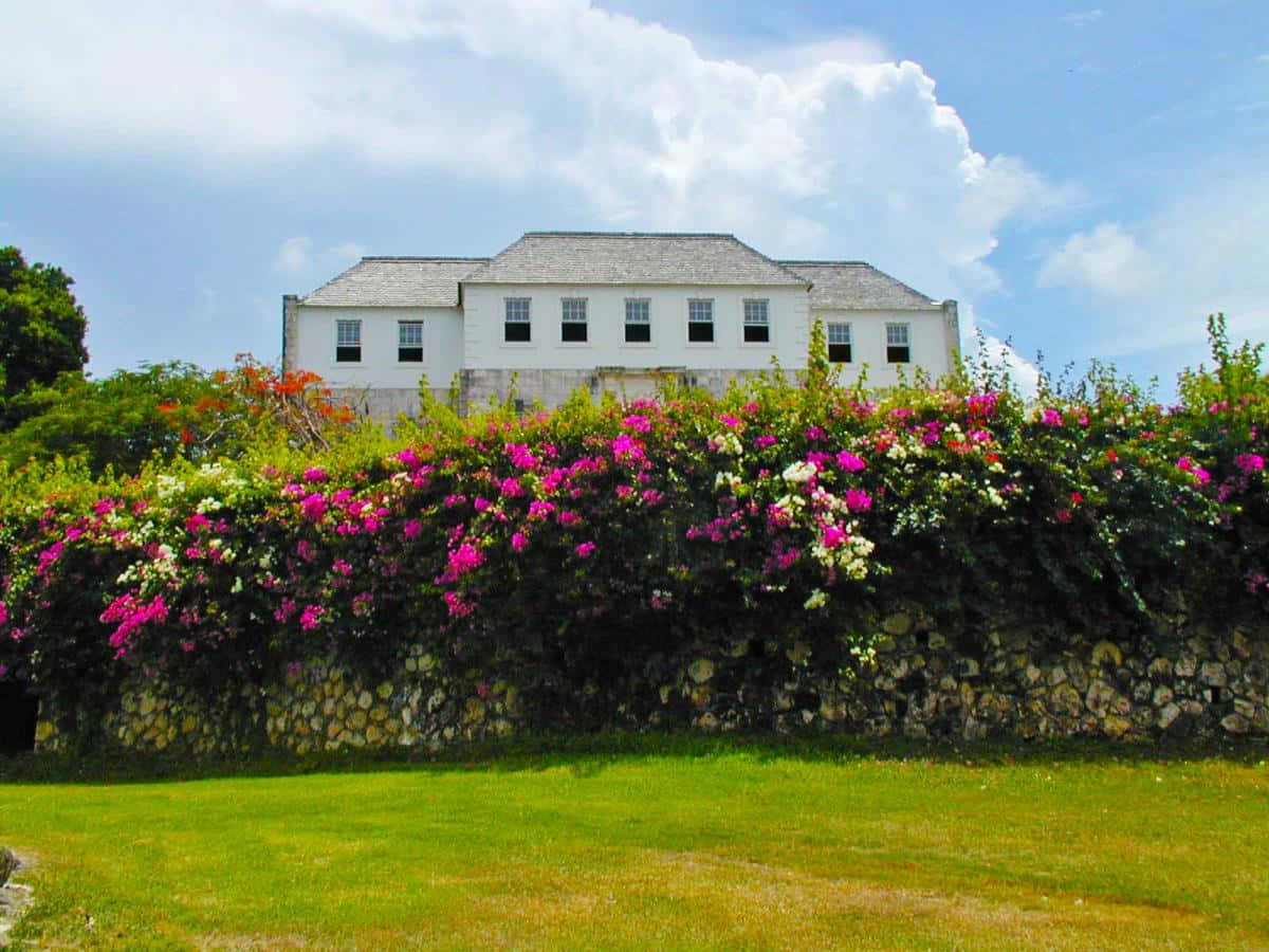 Rose Hall Great House Grass And Flowers Wallpaper