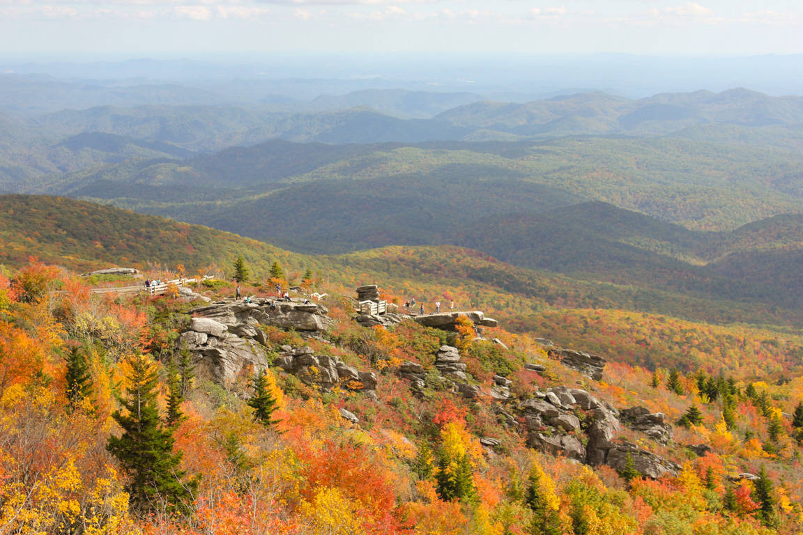 Rough Ridge Trail North Carolina Wallpaper