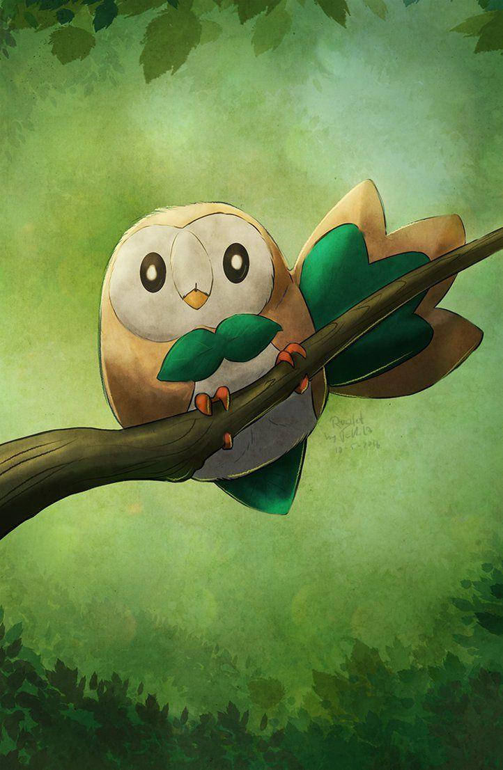 Rowlet Resting On Branch Wallpaper