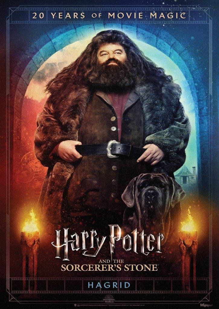 Rubeus Hagrid Movie Magic Wallpaper