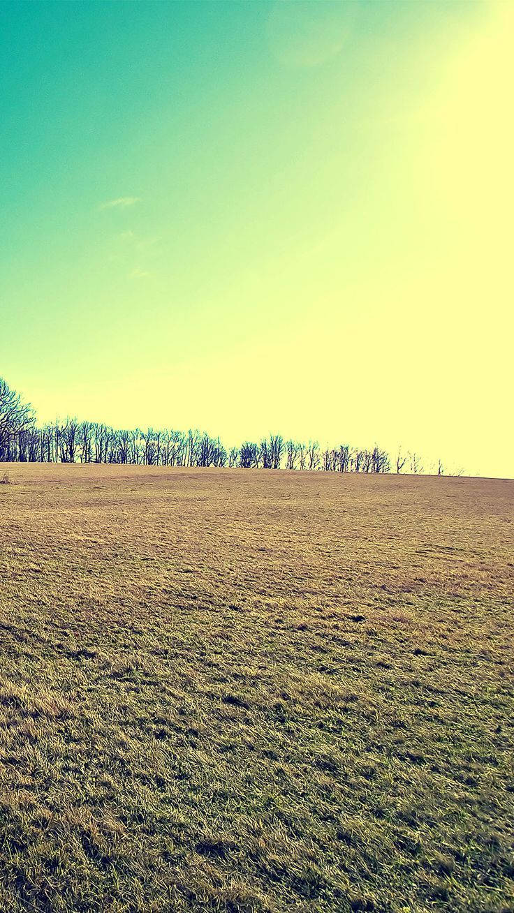 Rustic Vibes - Country Landscape Captured On Iphone Wallpaper