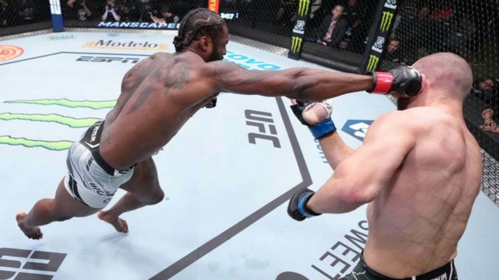 Ryan Spann Solid Punch Wallpaper