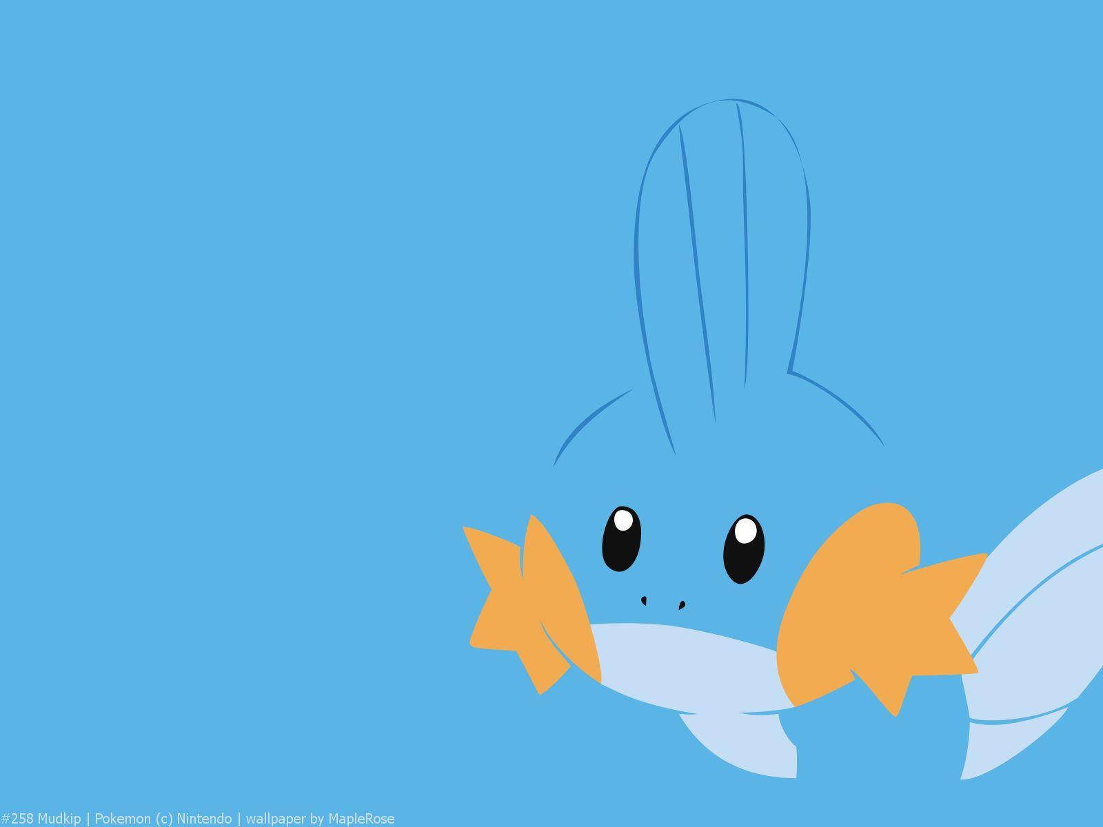 Sad Mudkip Art Wallpaper