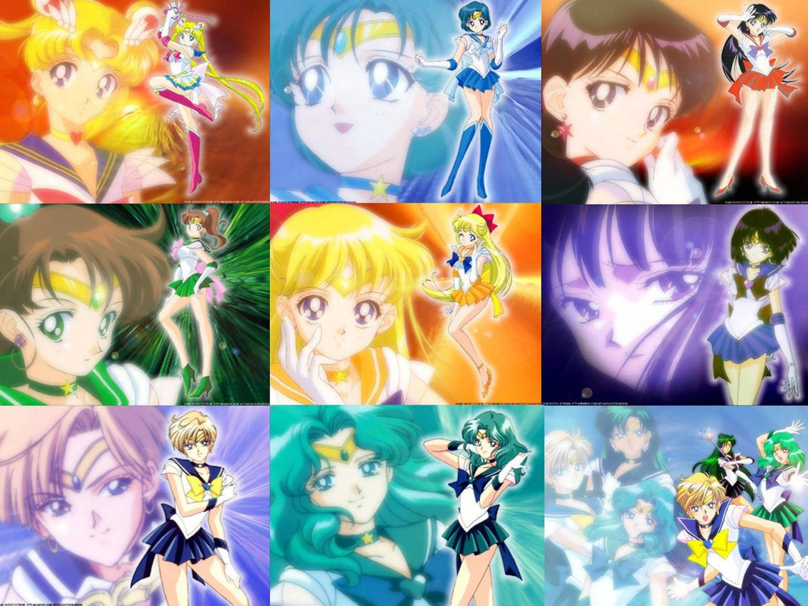 Sailor Moon Guardians Collage Wallpaper