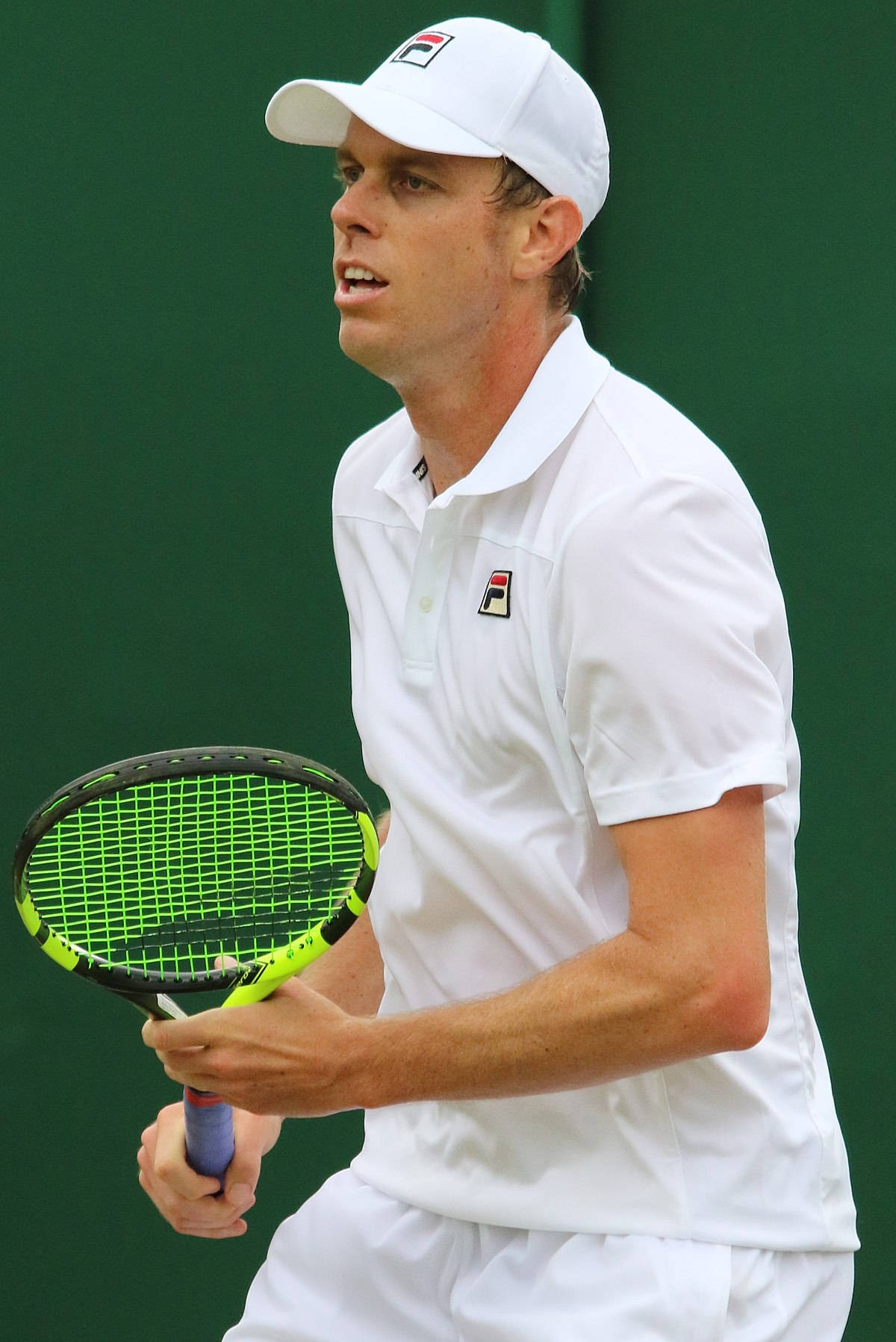 Sam Querrey Preparing Wallpaper