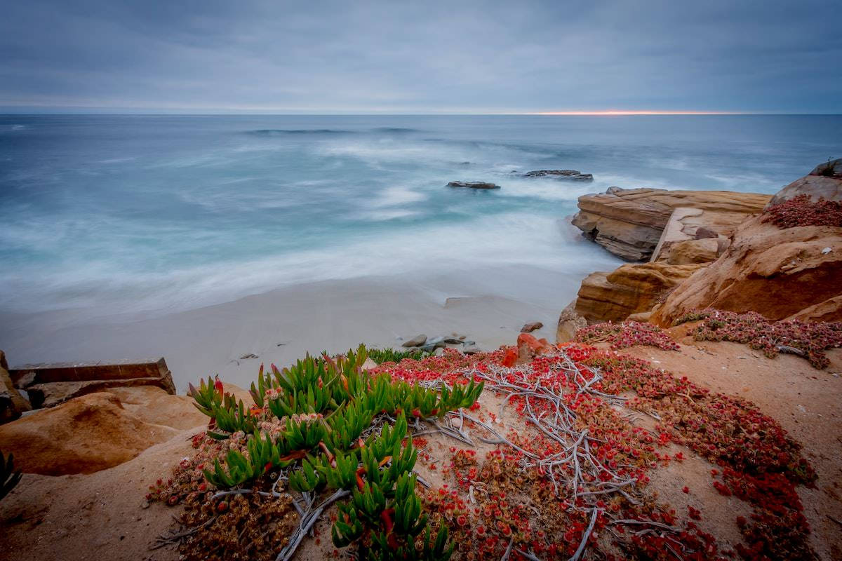 San Diego Beach Cliff Wallpaper