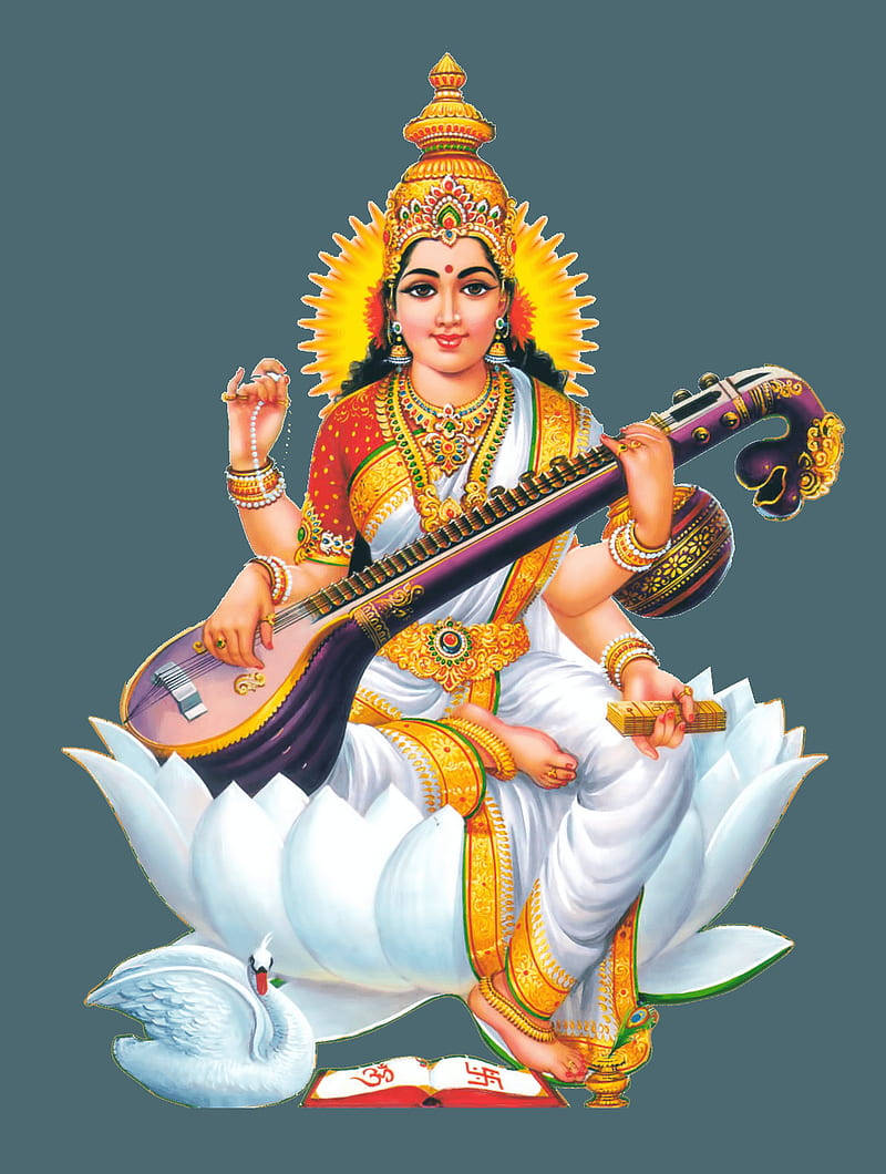 Saraswati Gray Portrait Wallpaper