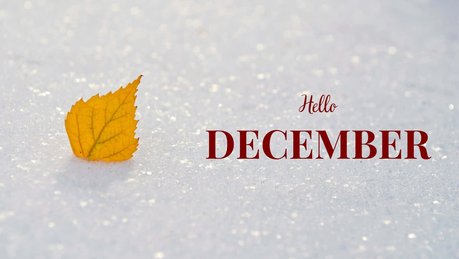 Saying Goodbye To November And Welcoming December Wallpaper