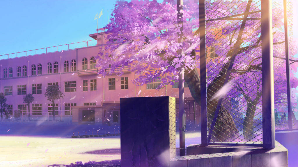 School Cherry Blossoms Anime Pc Wallpaper