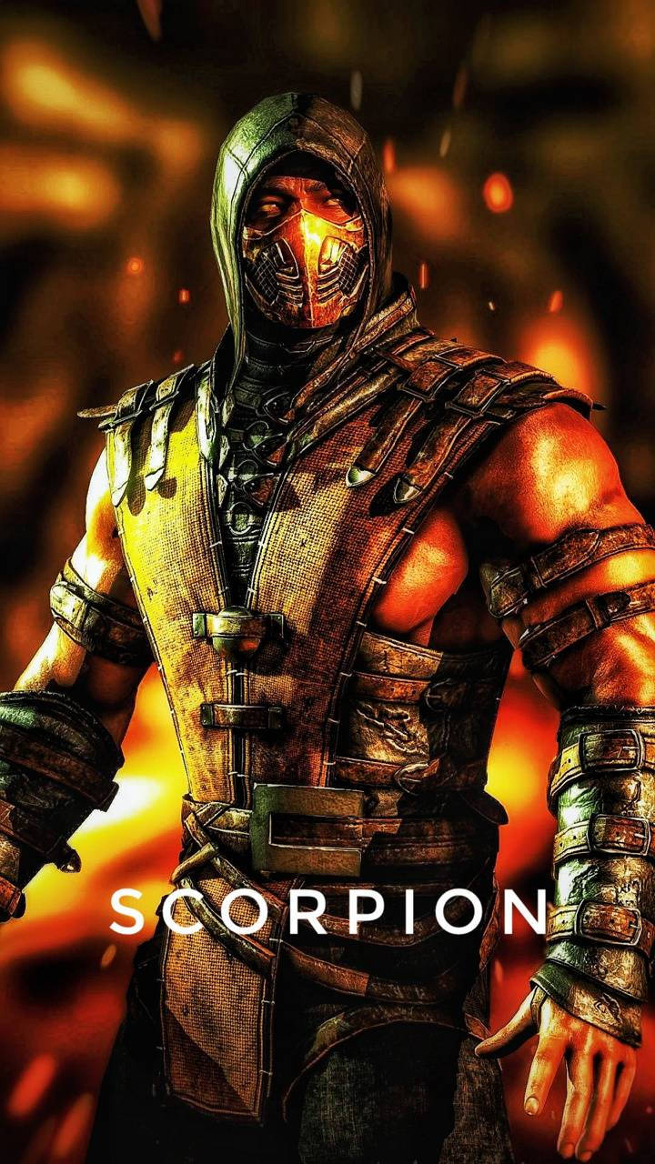 Scorpion On Fire Mk11 Poster Art Wallpaper