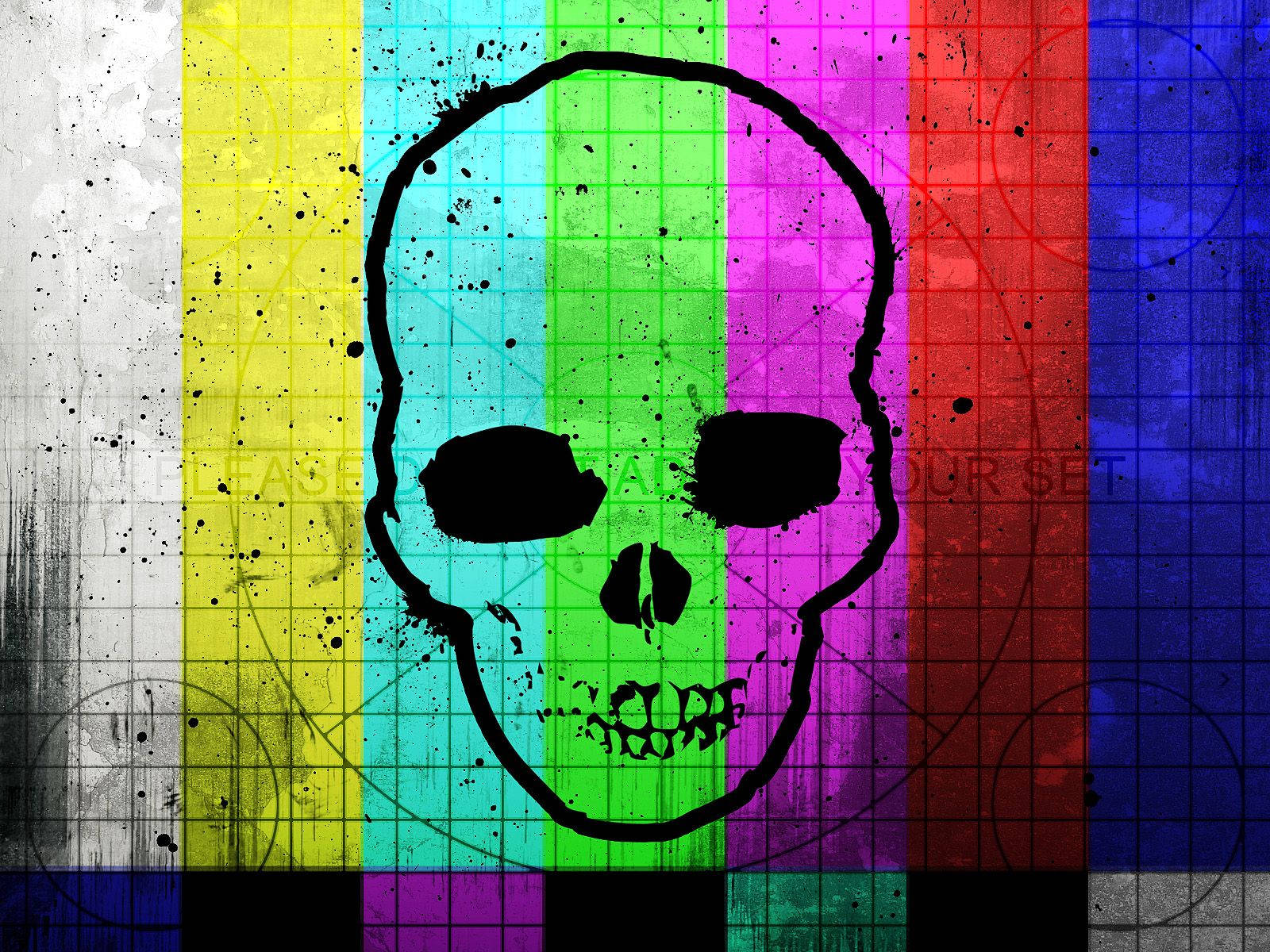 Screen Display Test With Skull Wallpaper