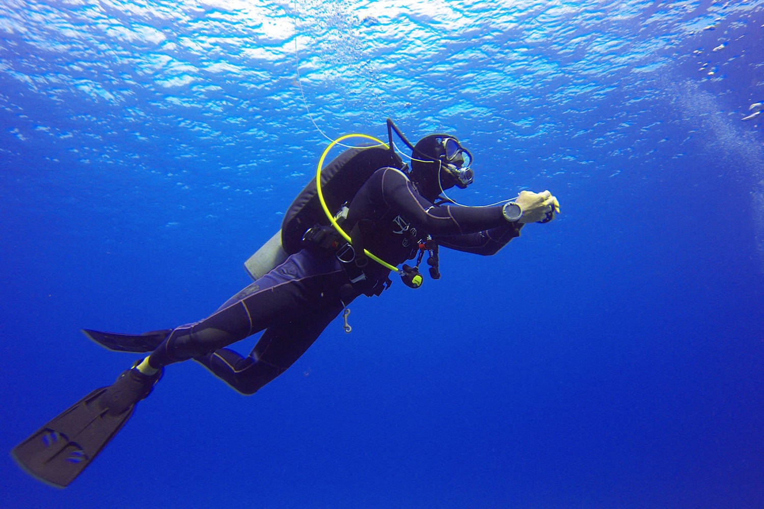 Scuba Diver Diving Blue Sea Wallpaper