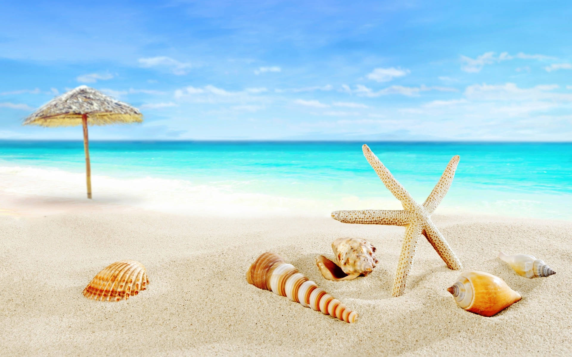 Seashells And Star On Sand Tropical Desktop Wallpaper