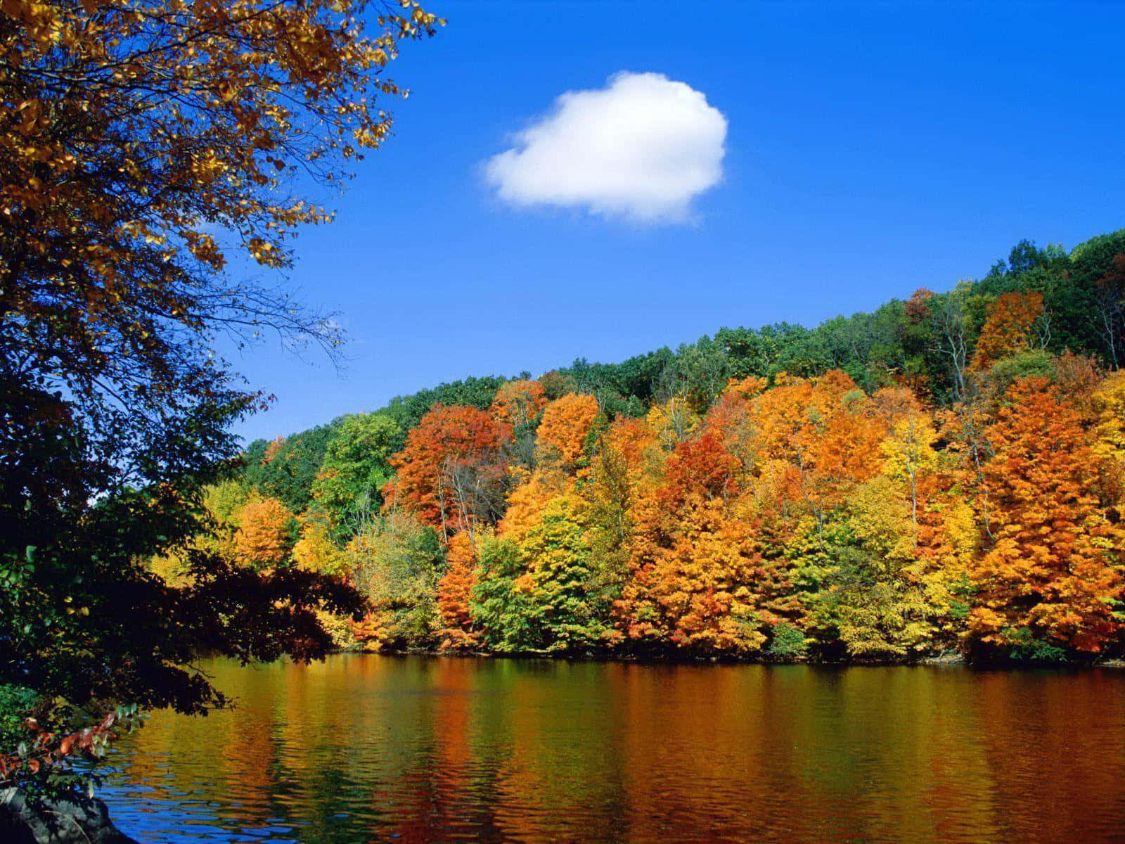 Seasonal Autumn Mountain Lake Trees Wallpaper