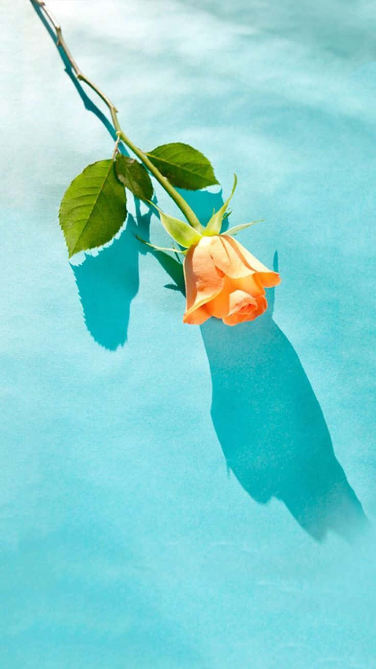 Serenity In Shades Of Blue And Green Wallpaper