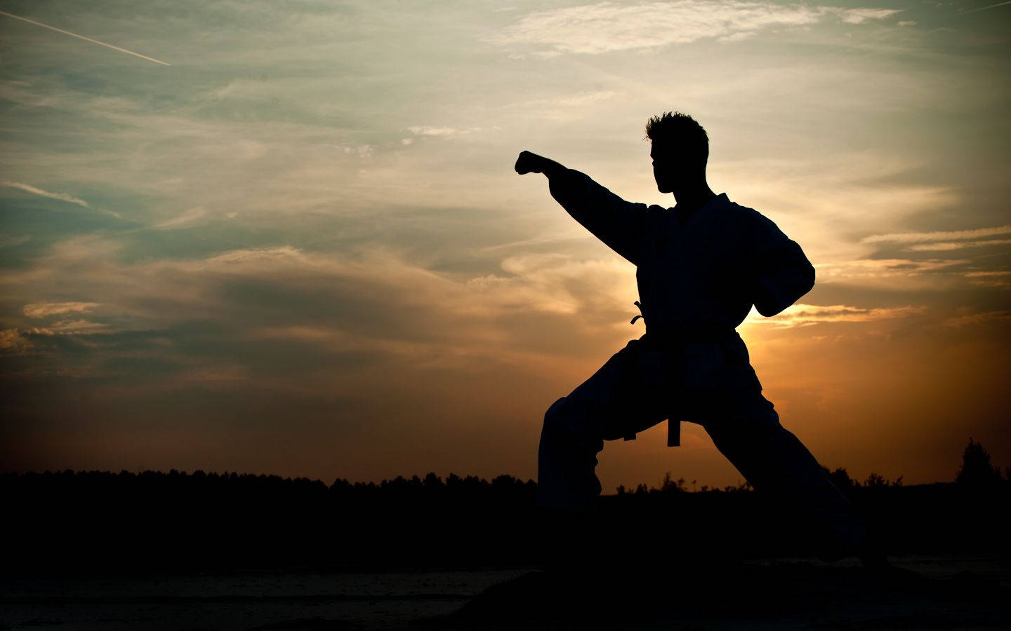 Shadow Of Tai Chi Athlete Wallpaper