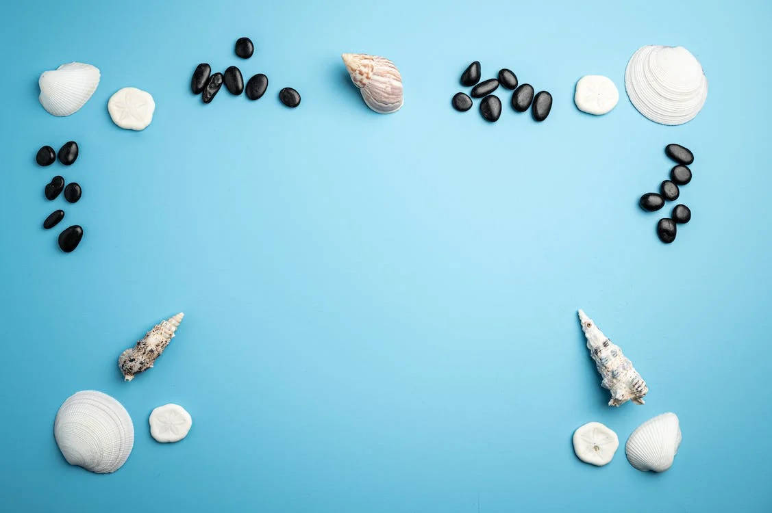 Shells And Pebbles Facebook Cover Wallpaper