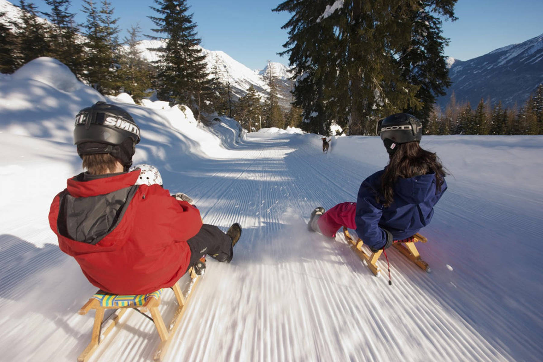 Siblings Are Enjoying Sledding Wallpaper