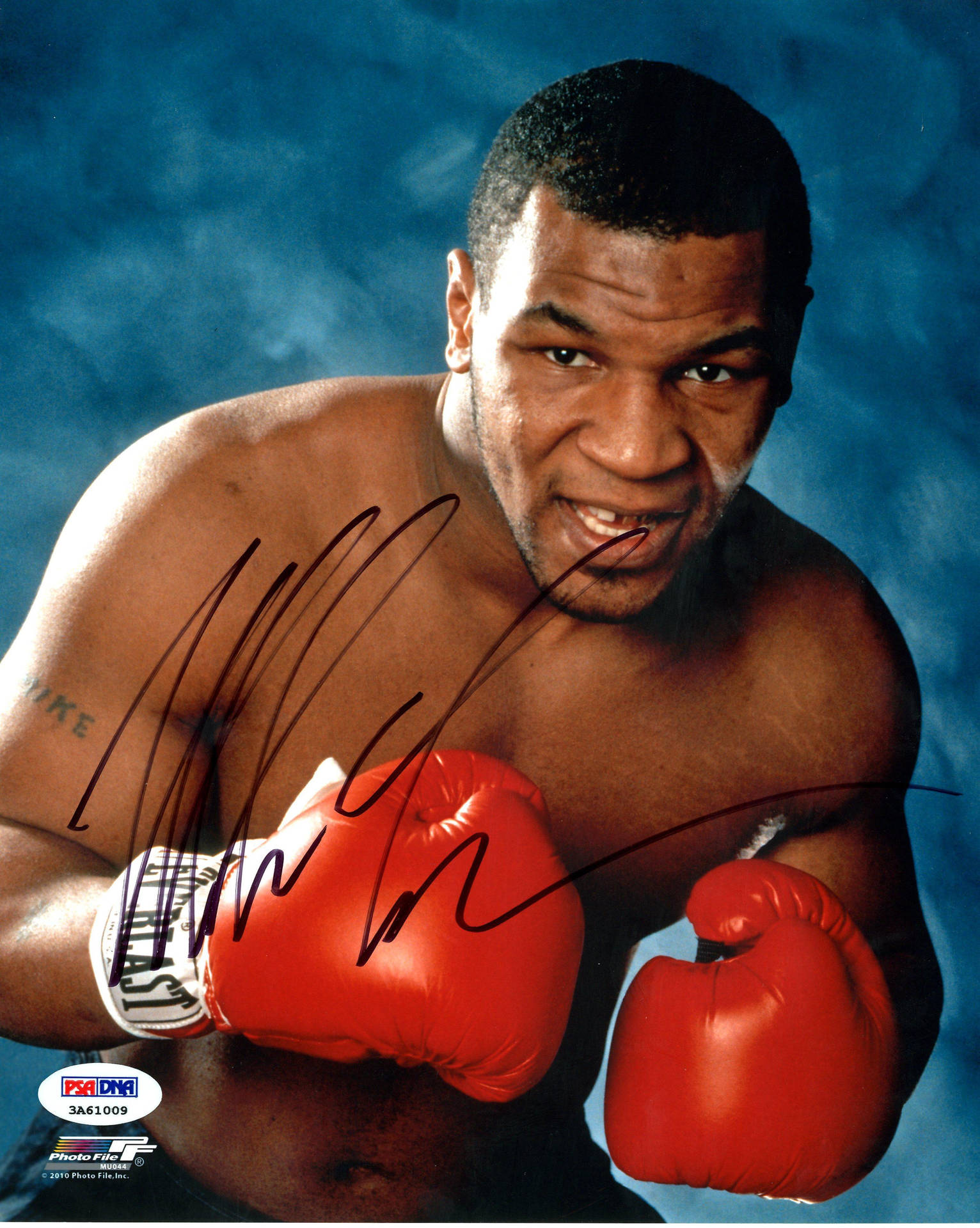 Signed Mike Tyson 4k Wallpaper