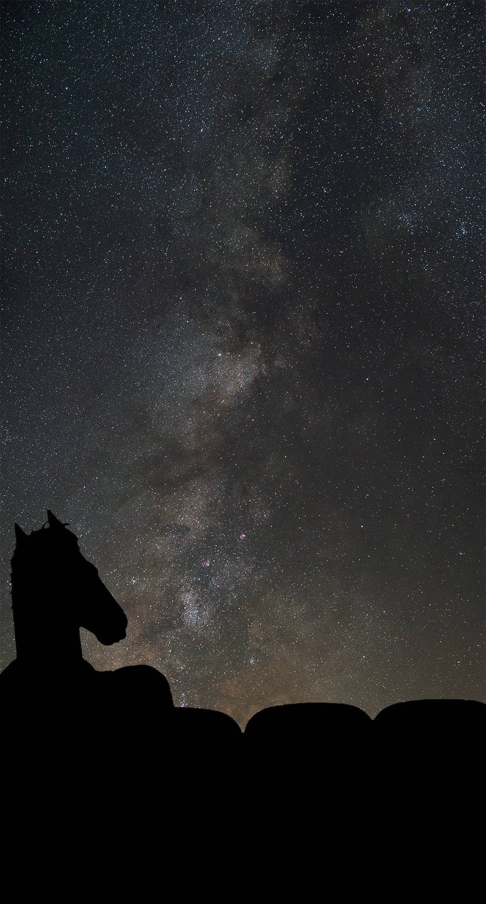Silhouette Bojack Horseman Under Starry Sky Wallpaper
