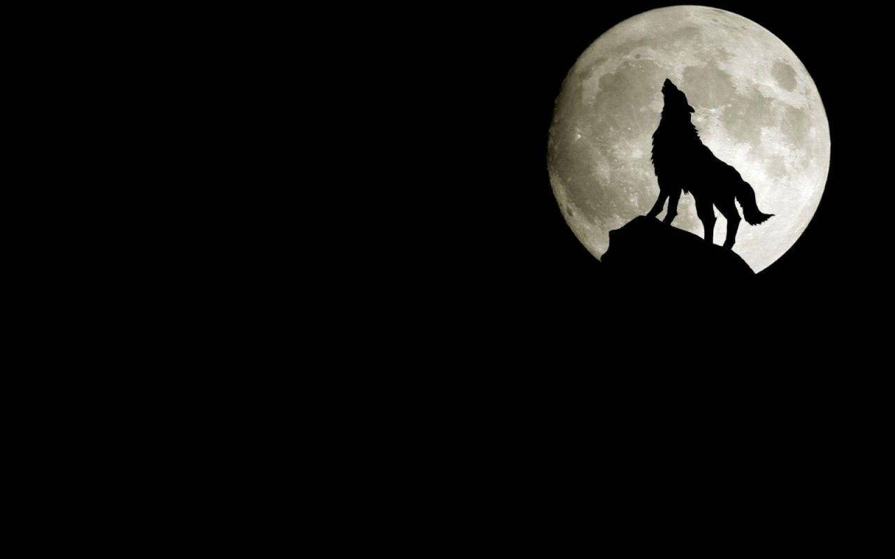 Silhouette Of Cool Black Wolf On Full Moon Wallpaper