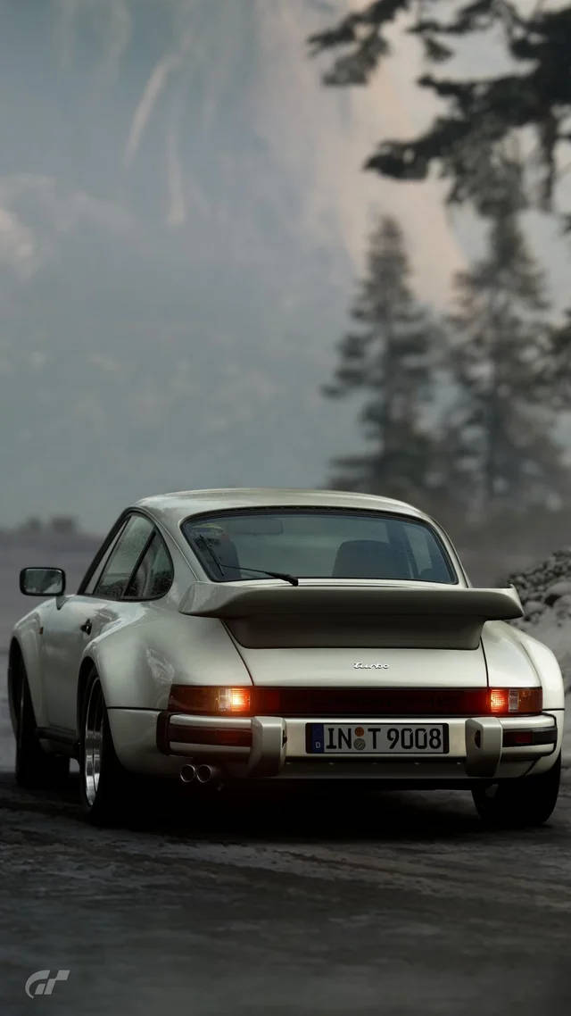 Silver Porsche 911 By The Trees Wallpaper