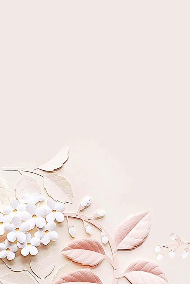 Simple And Elegant White Flower Wallpaper