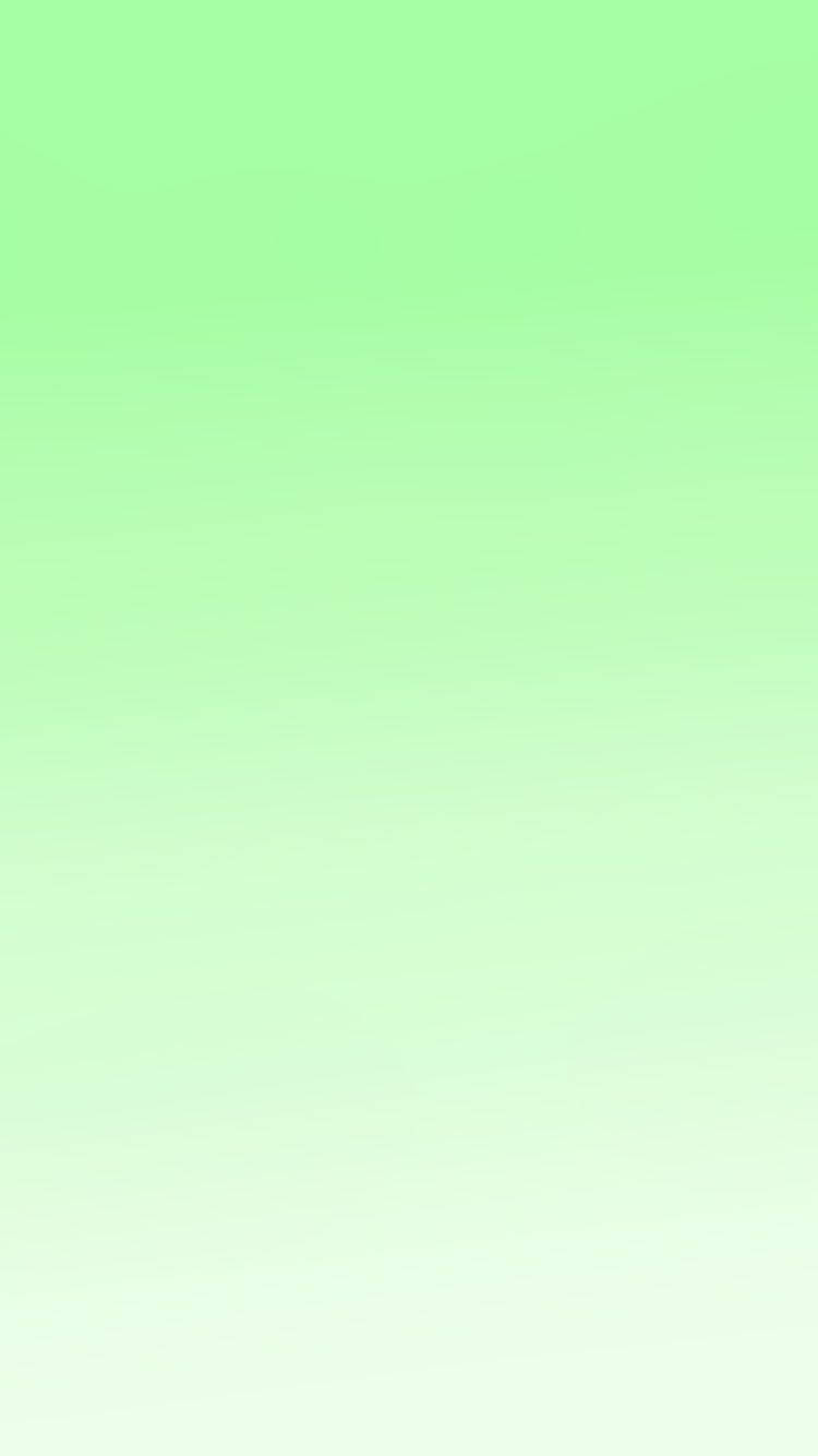 Simple Green Aesthetic Iphone Theme Wallpaper