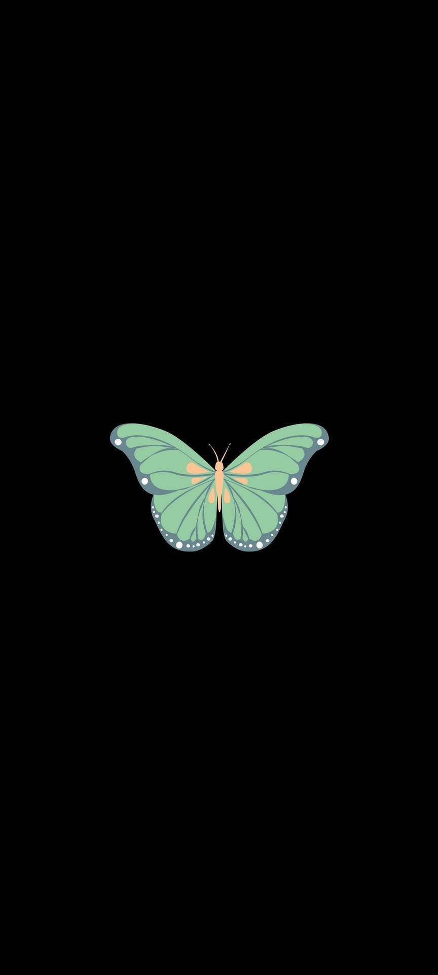 Single Green Butterfly Oneplus 9r Wallpaper