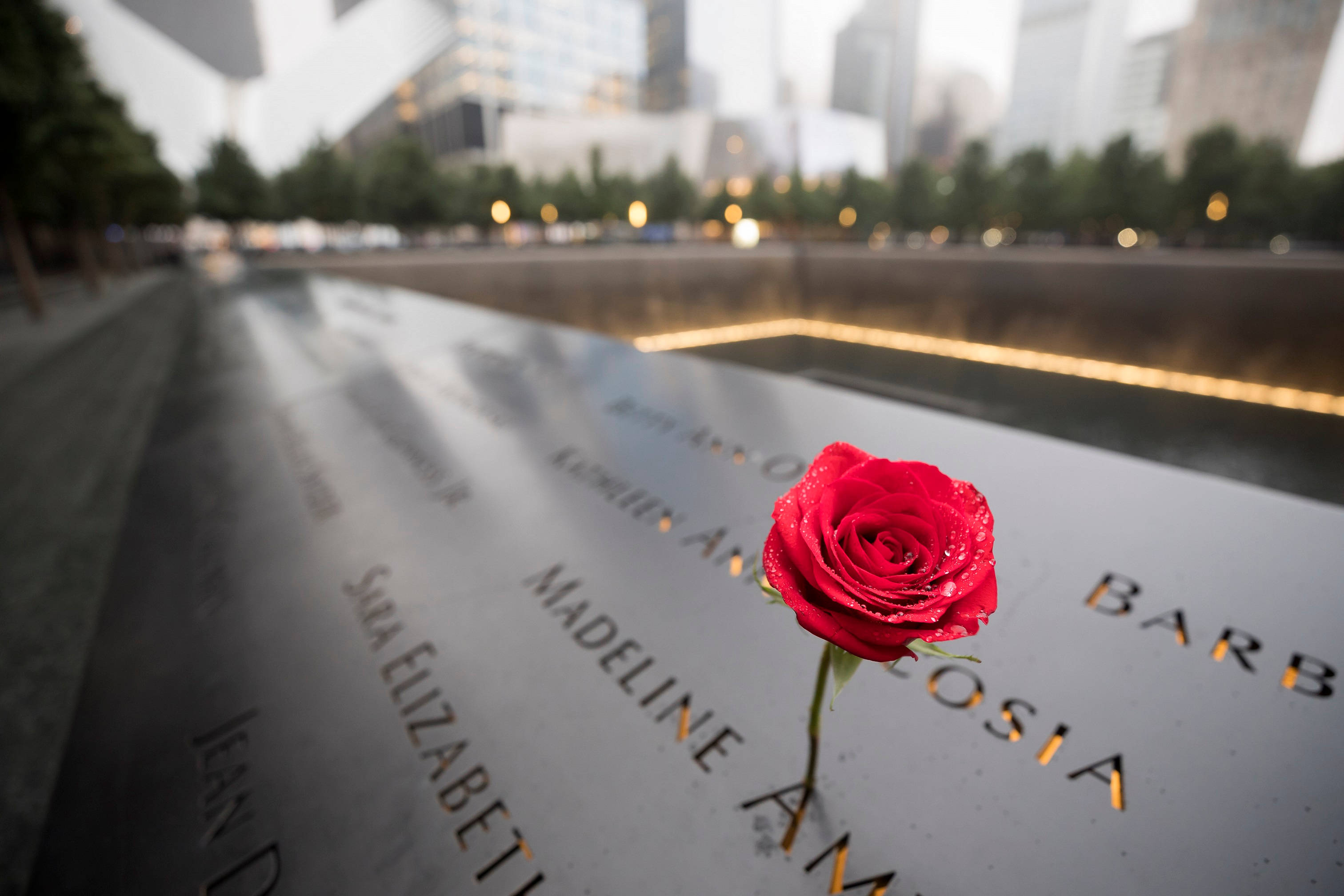 Single Red Rose At 911 Memorial Wallpaper