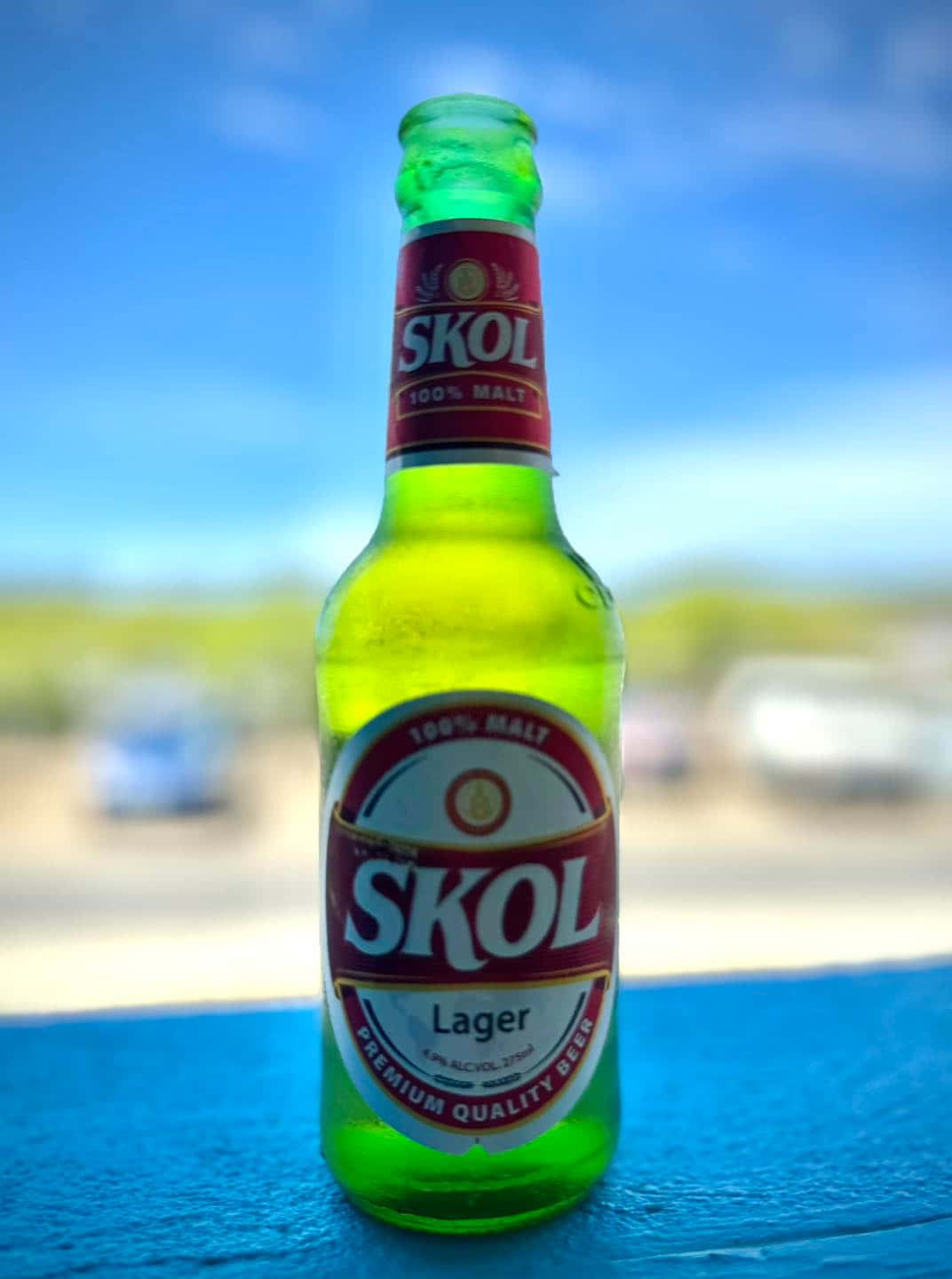 Skol Lager Beer Bottle Wallpaper