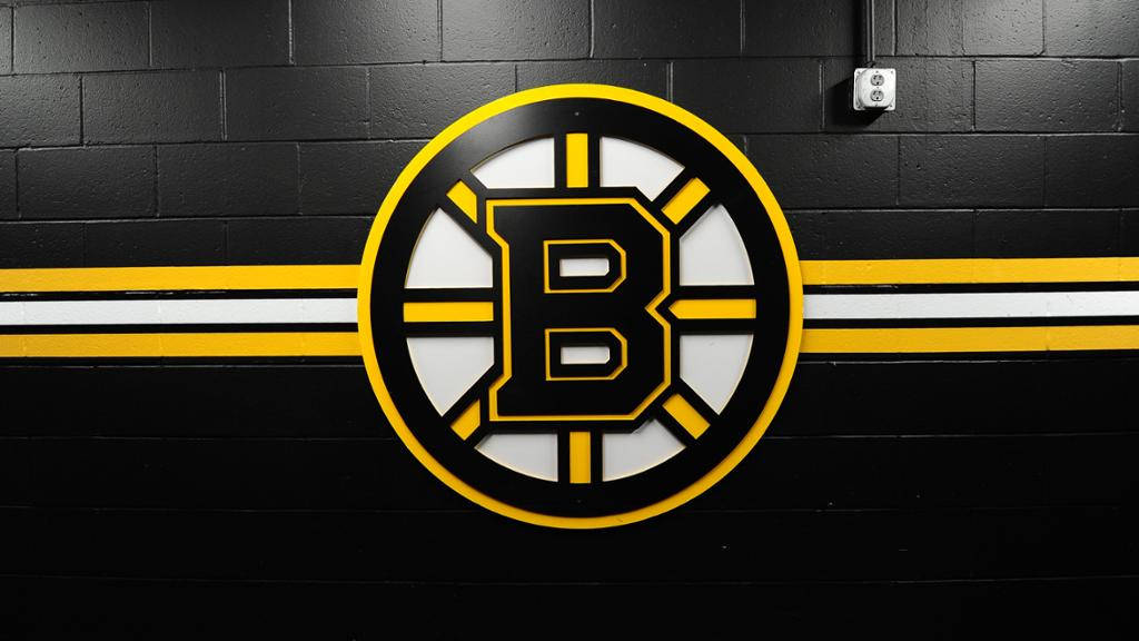 Sky Blue And White Boston Bruins Logo Wallpaper