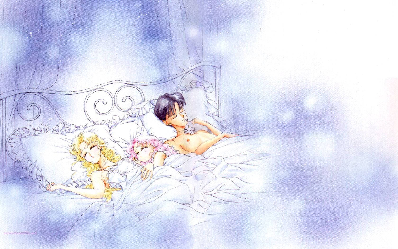 Sleeping Sailor Moon Family Wallpaper
