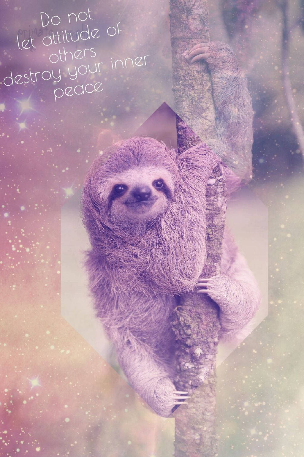Sloth Clinging On Tree Wallpaper