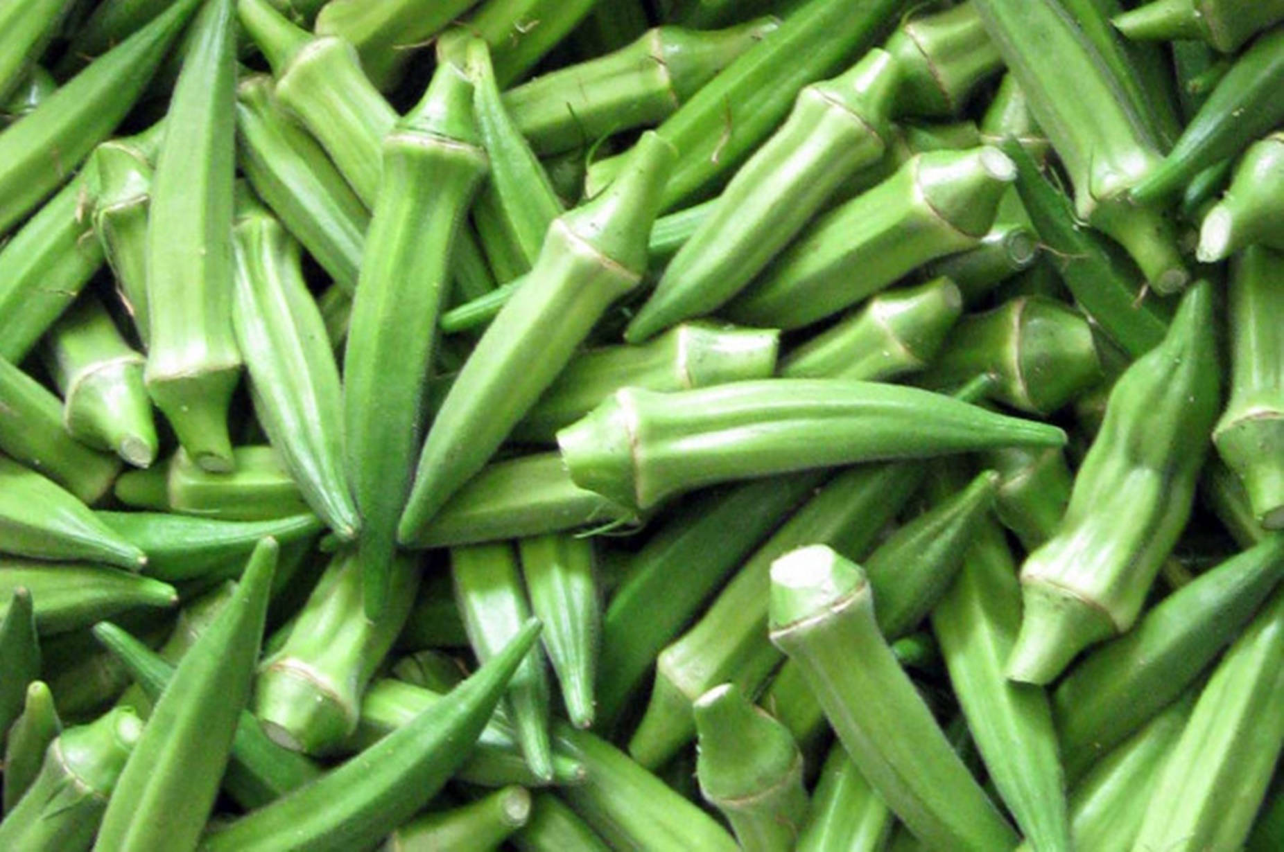 Small-sized Green Okra Wallpaper