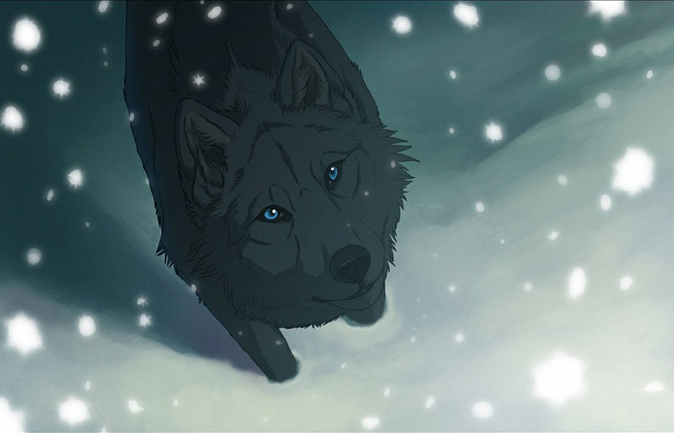 Snow Lover Black Wolf Wallpaper