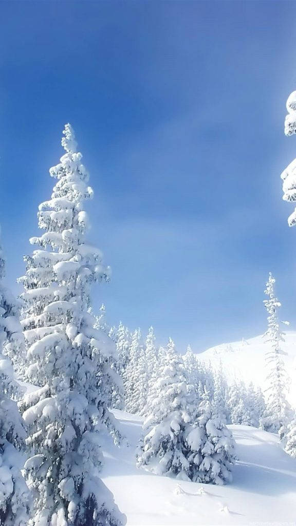 Snow Tree Nature Iphone Wallpaper