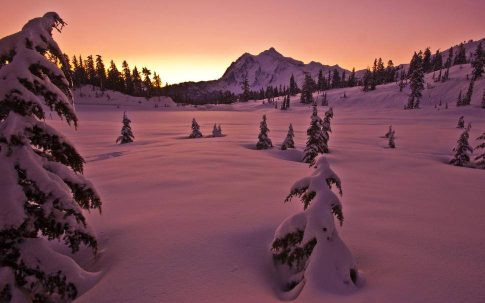 Snowy Ground During Golden Hour Aesthetic Mac Wallpaper