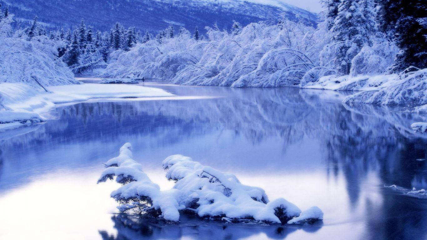 Snowy Winter Scene Wallpaper