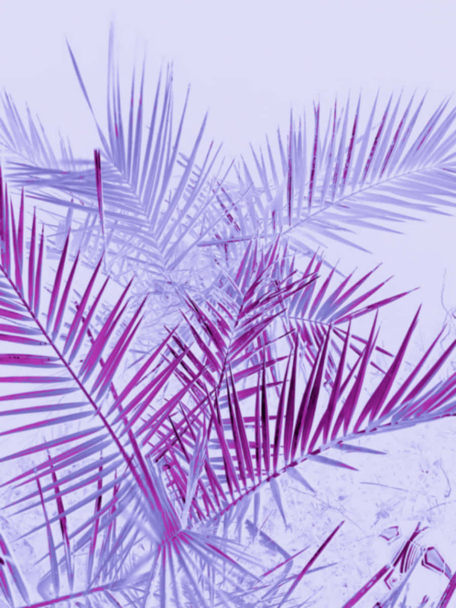 Soft And Sweet Wallpaper