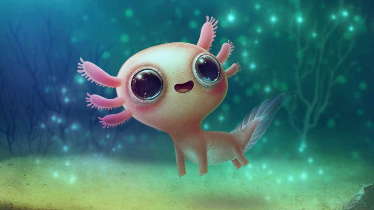 Solo Axolotl As Cute Aesthetic Pc Screen Wallpaper