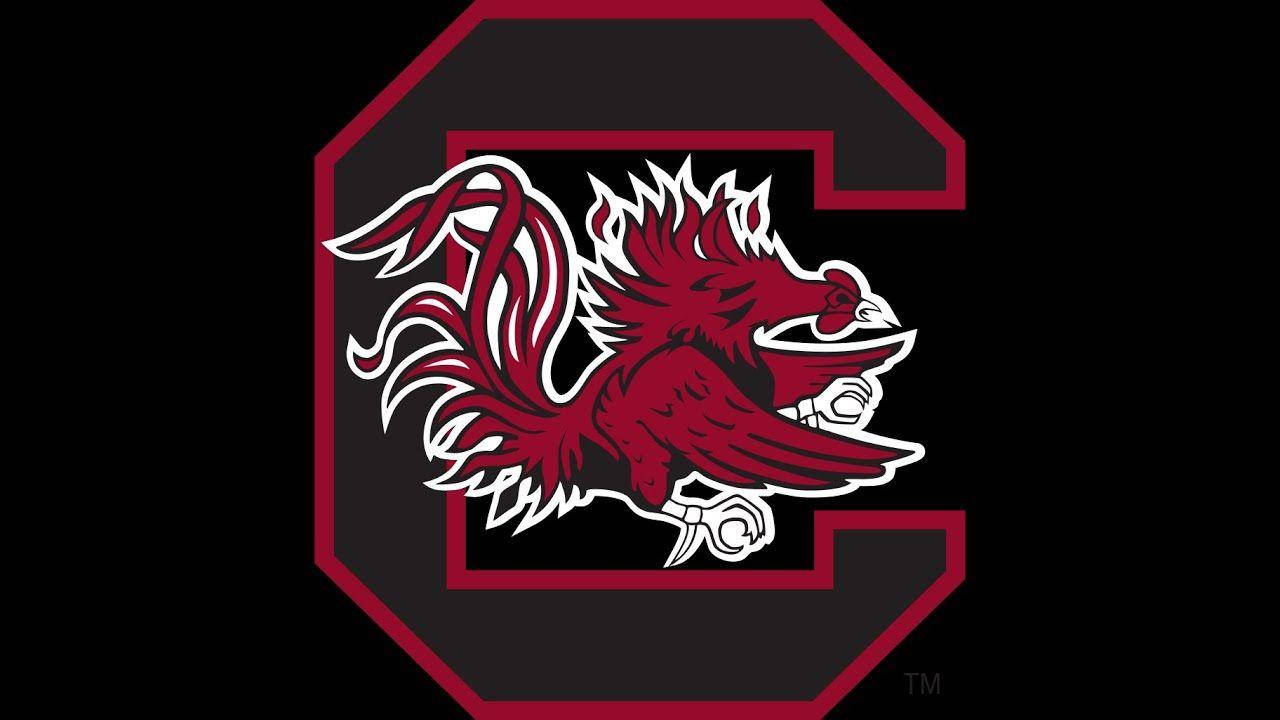 South Carolina Gamecocks Black Canvas Logo Wallpaper