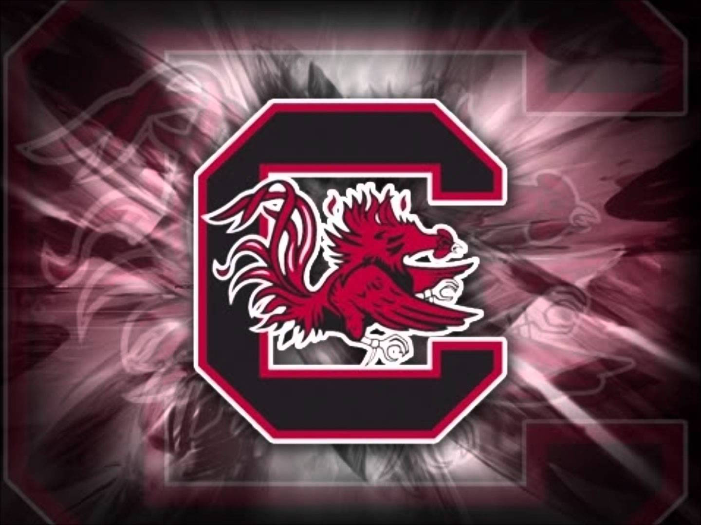 South Carolina Gamecocks Graphic Action Art Wallpaper