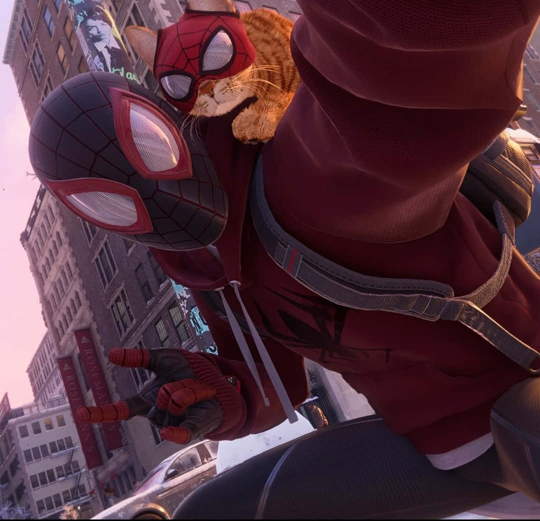 Spidey Selfie Man With Cat Wallpaper