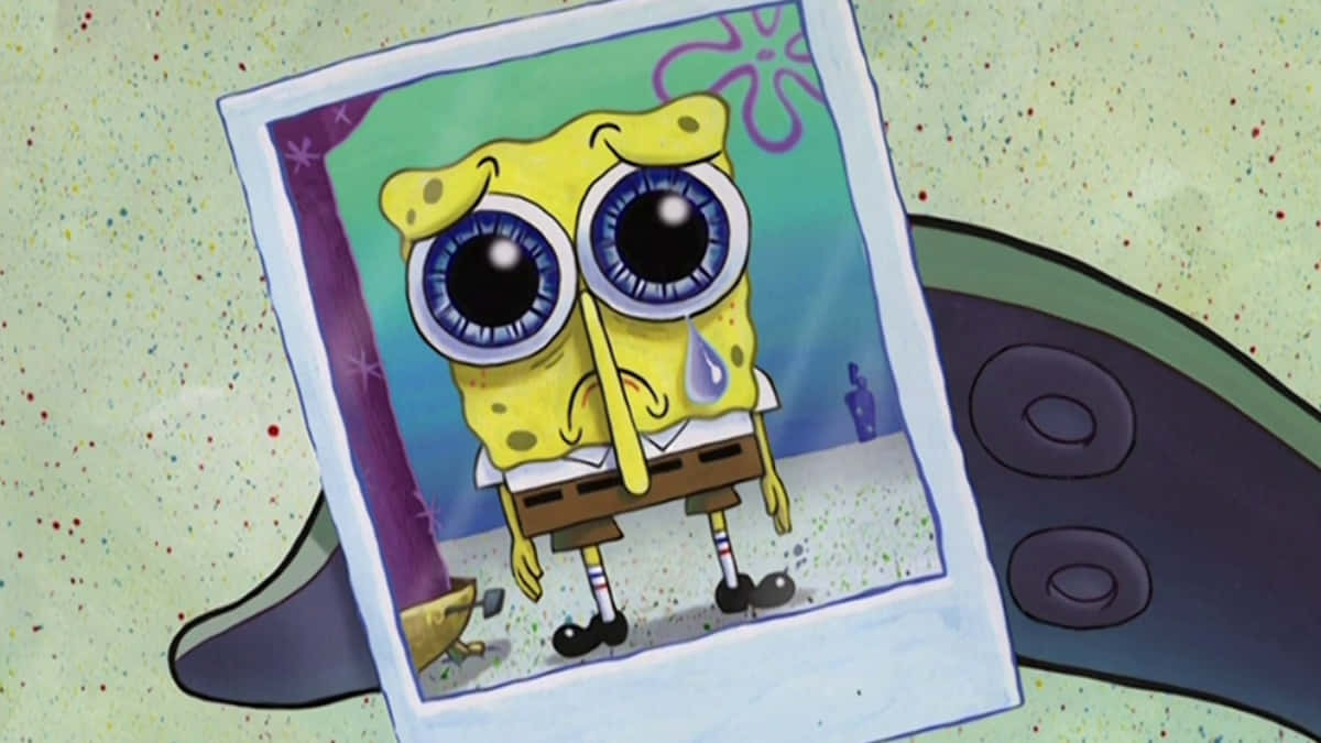 Spongebob Crying In Polaroid Wallpaper