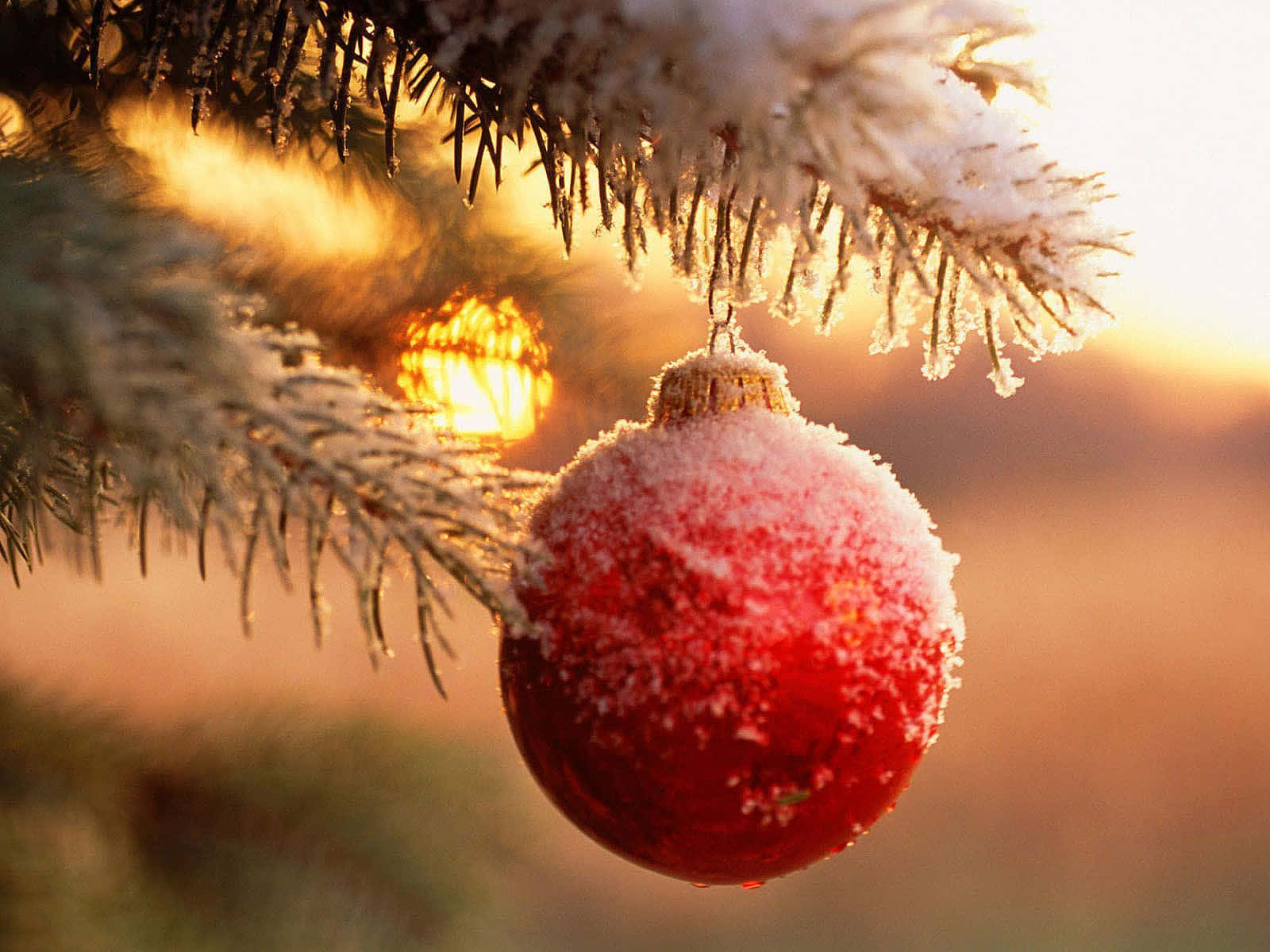 Spread Joy And Happiness With This Christmas Ornament Wallpaper