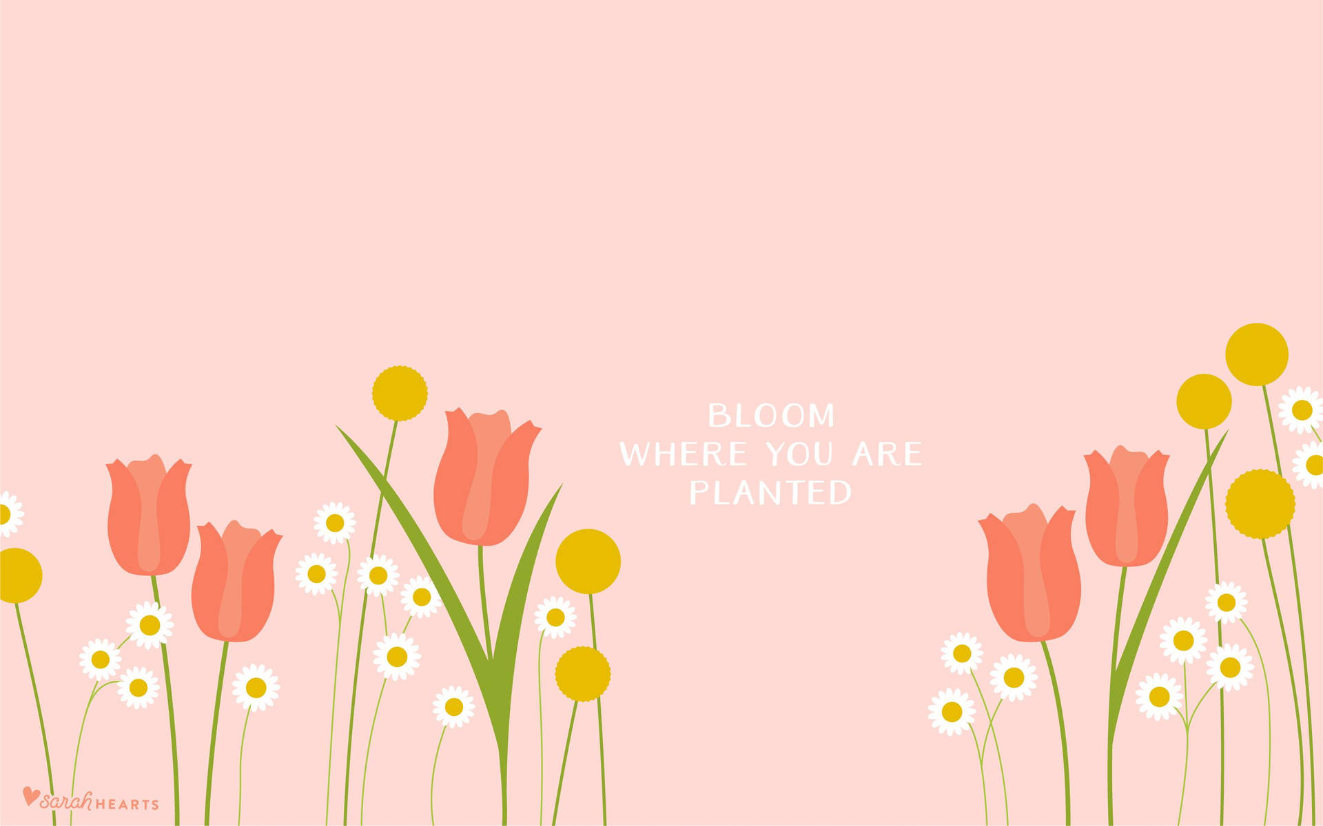 Download free Spring Aesthetic Positive Wallpaper - MrWallpaper.com