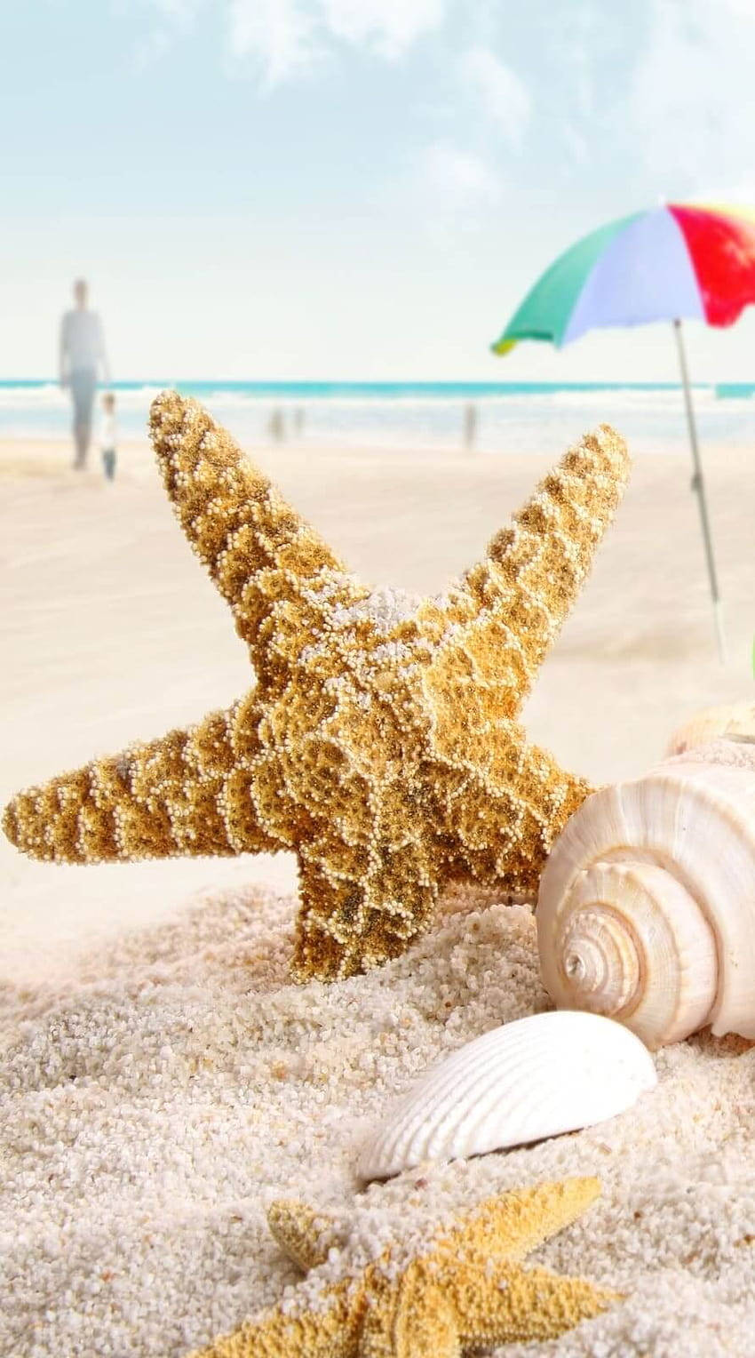Starfish And Shells On The Beach With An Umbrella Wallpaper