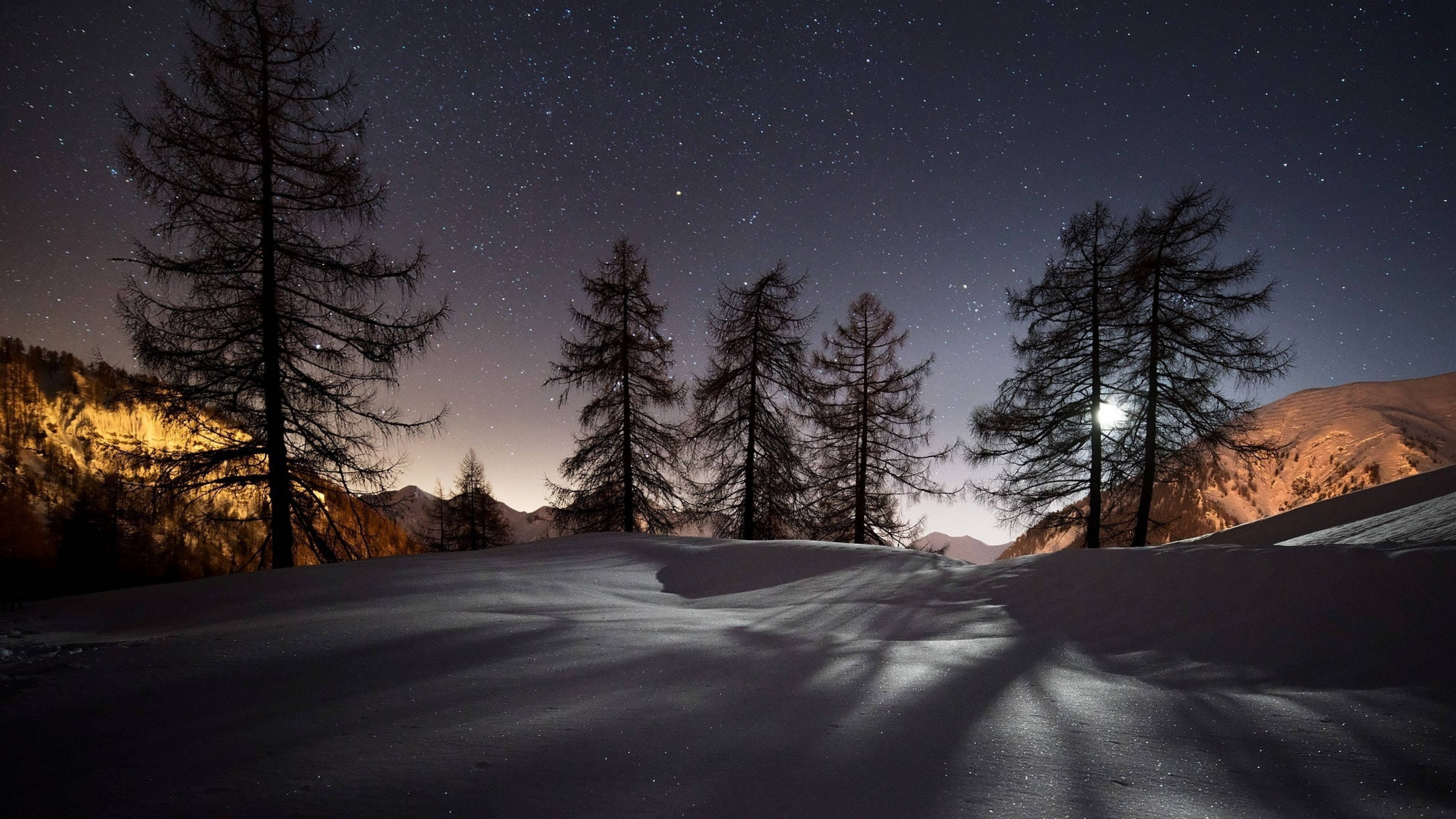 Starry Snow Night Professional Desktop Wallpaper